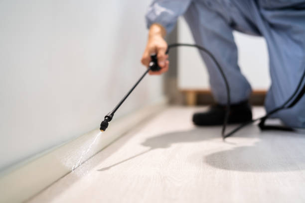 Rodent Entry Point Assessment in San Leandro