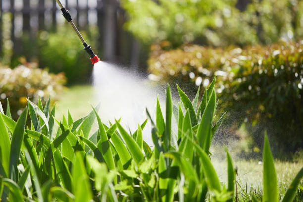Tamper-Resistant Bait Stations for Rodents in San Leandro