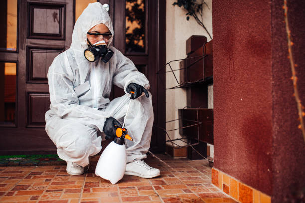 Attic and Crawl Space Rodent Treatment in San Leandro
